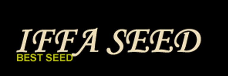 Optimal Assurance Services _ Clients _ Iffa seed